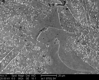 /static/micrographs/micrograph1189.png