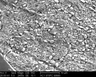 /static/micrographs/micrograph119.png