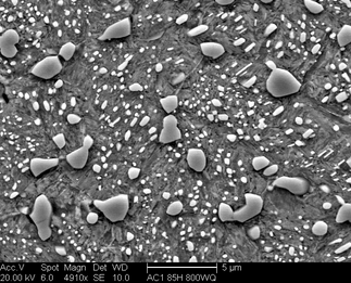 /static/micrographs/micrograph1192.png