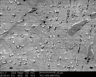 /static/micrographs/micrograph1193.png