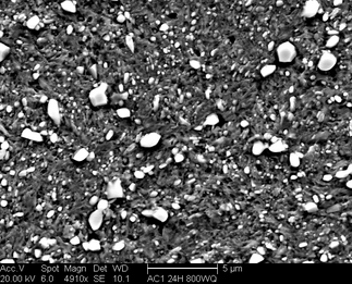 /static/micrographs/micrograph1196.png