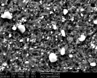 /static/micrographs/micrograph1197.png