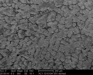 /static/micrographs/micrograph1198.png