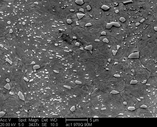 /static/micrographs/micrograph1199.png