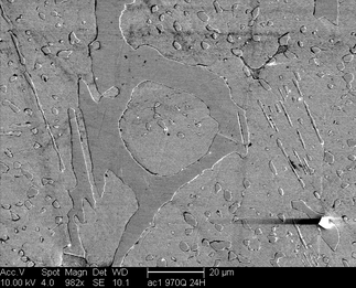 /static/micrographs/micrograph1202.png
