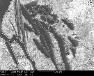 /static/micrographs/micrograph1204.png