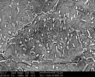 /static/micrographs/micrograph1206.png
