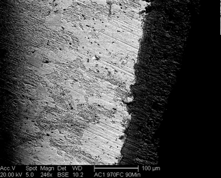 /static/micrographs/micrograph1207.png