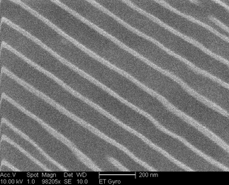 /static/micrographs/micrograph121.png