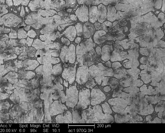 /static/micrographs/micrograph1210.png
