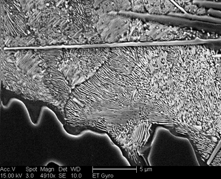 /static/micrographs/micrograph1213.png