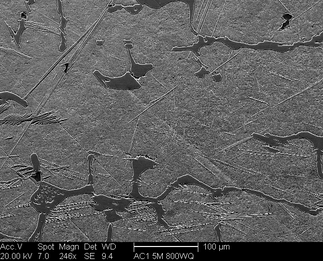 /static/micrographs/micrograph1214.png