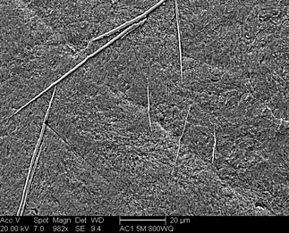 /static/micrographs/micrograph1215.png