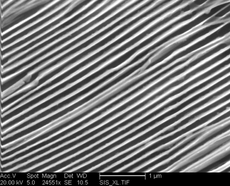 /static/micrographs/micrograph1216.png