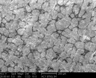 /static/micrographs/micrograph1217.png