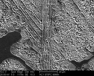 /static/micrographs/micrograph1218.png
