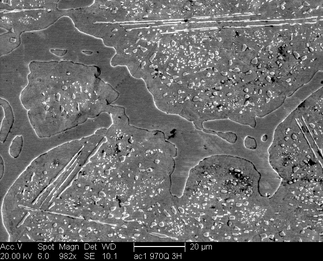 /static/micrographs/micrograph1219.png