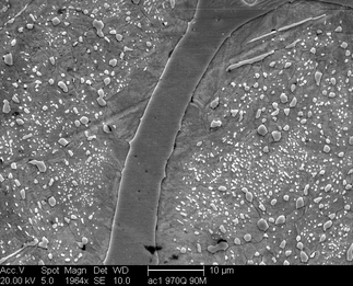 /static/micrographs/micrograph1223.png