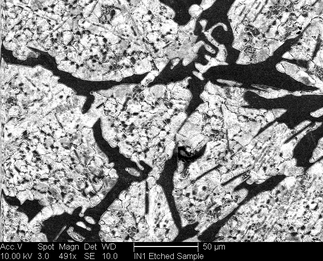 /static/micrographs/micrograph1226.png