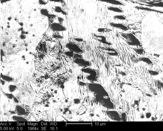 /static/micrographs/micrograph1227.png