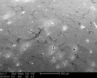/static/micrographs/micrograph1228.png