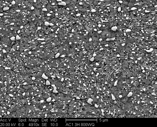 /static/micrographs/micrograph1234.png