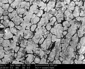 /static/micrographs/micrograph1238.png