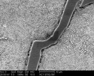 /static/micrographs/micrograph1239.png