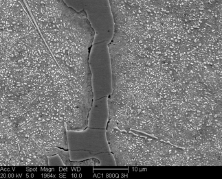 /static/micrographs/micrograph124.png