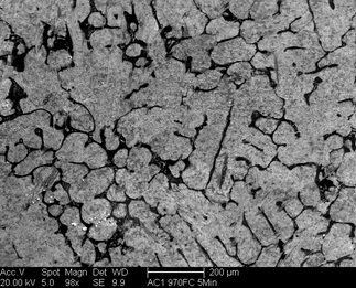 /static/micrographs/micrograph1240.png
