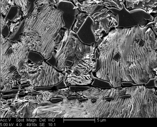 /static/micrographs/micrograph1241.png