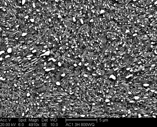 /static/micrographs/micrograph1248.png