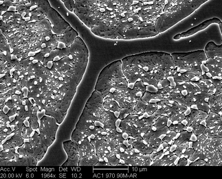 /static/micrographs/micrograph1249.png