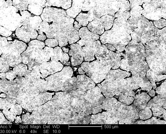/static/micrographs/micrograph1254.png