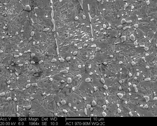 /static/micrographs/micrograph1256.png