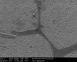 /static/micrographs/micrograph1257.png