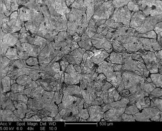 /static/micrographs/micrograph1259.png