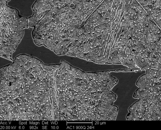 /static/micrographs/micrograph1261.png
