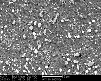 /static/micrographs/micrograph1265.png
