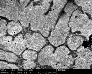 /static/micrographs/micrograph1266.png
