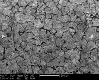 /static/micrographs/micrograph127.png
