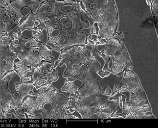 /static/micrographs/micrograph1271.png
