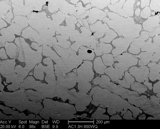 /static/micrographs/micrograph1272.png