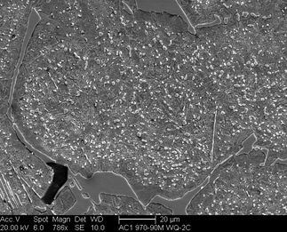 /static/micrographs/micrograph1273.png