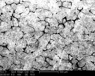 /static/micrographs/micrograph1274.png