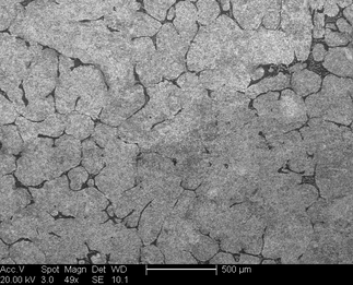 /static/micrographs/micrograph128.png