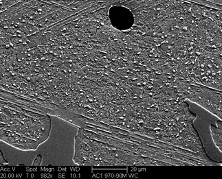 /static/micrographs/micrograph1280.png