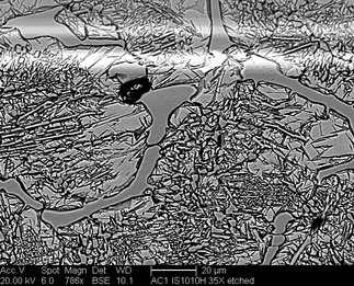 /static/micrographs/micrograph1281.png