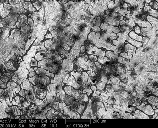 /static/micrographs/micrograph1283.png