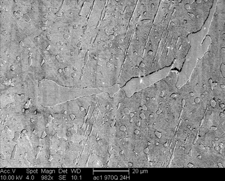 /static/micrographs/micrograph1284.png